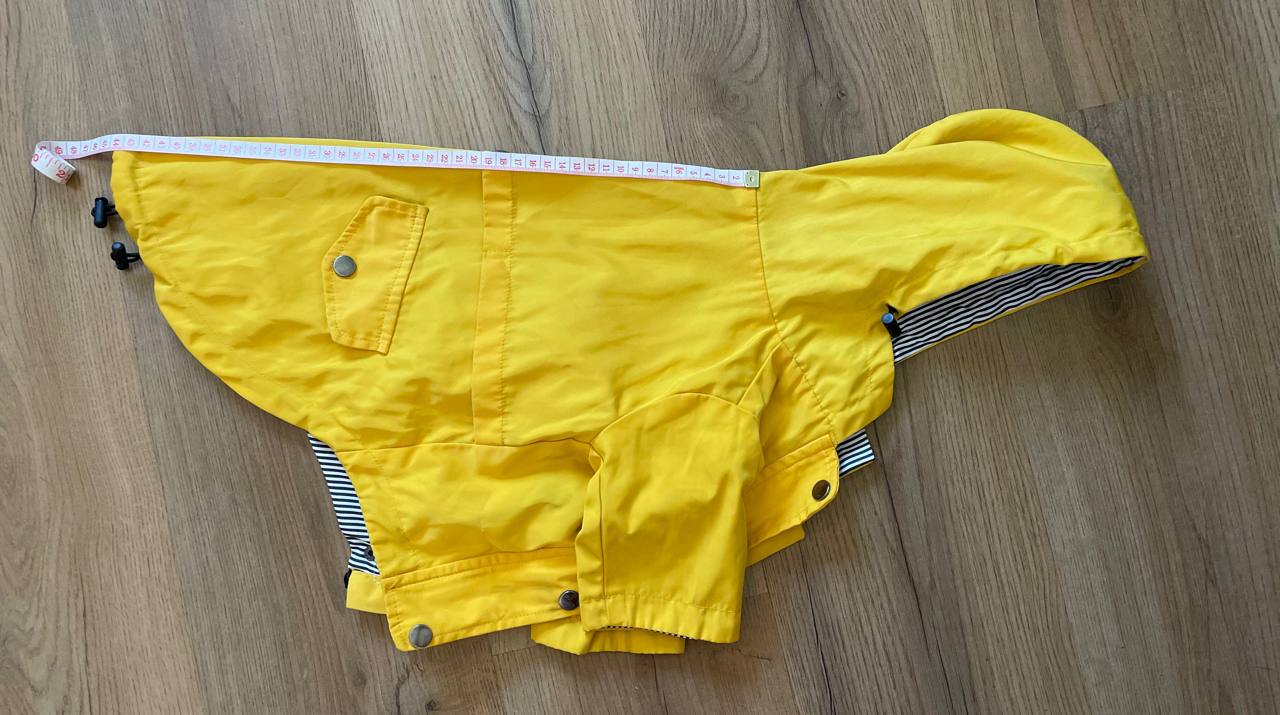 Dog outfit photo 2