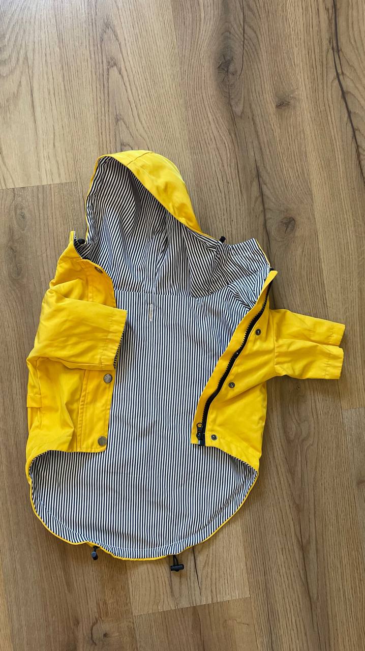 Dog outfit photo 3