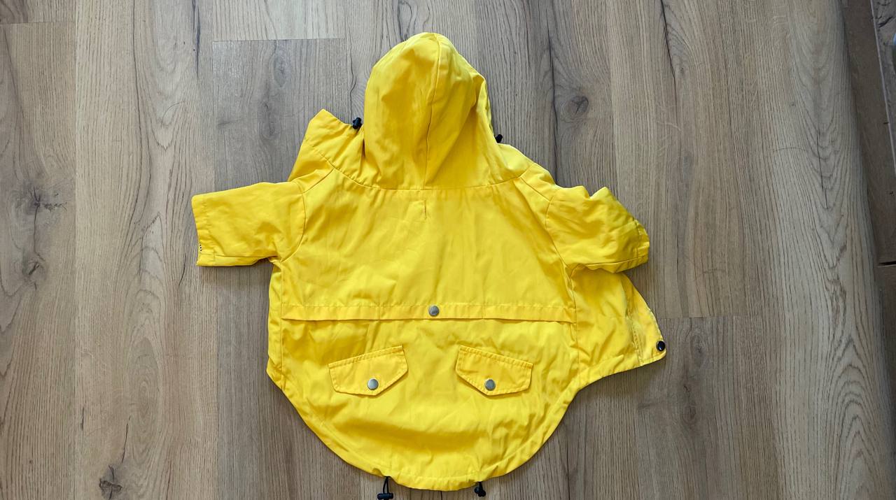 Dog outfit photo 4