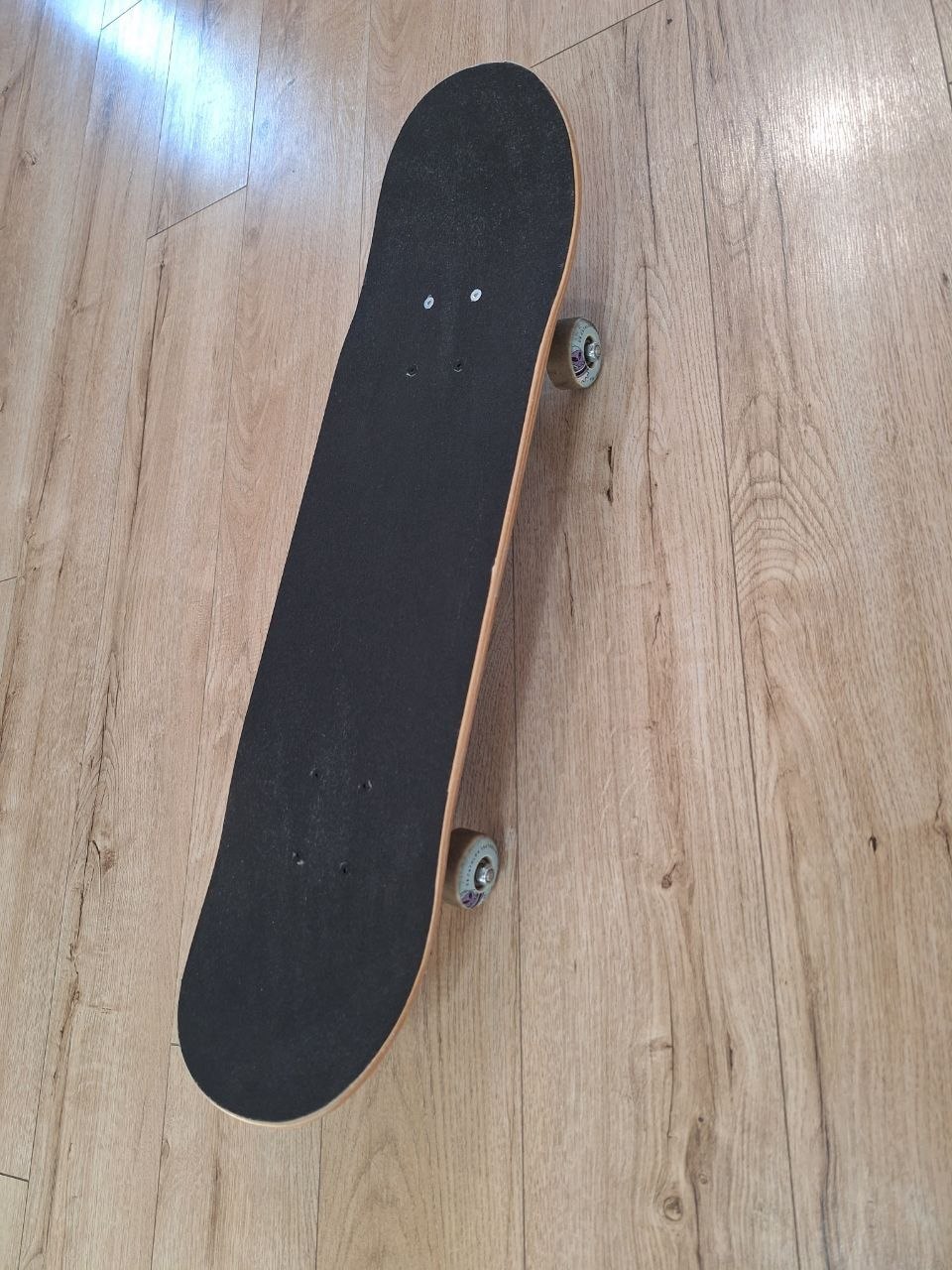 Skatebord
