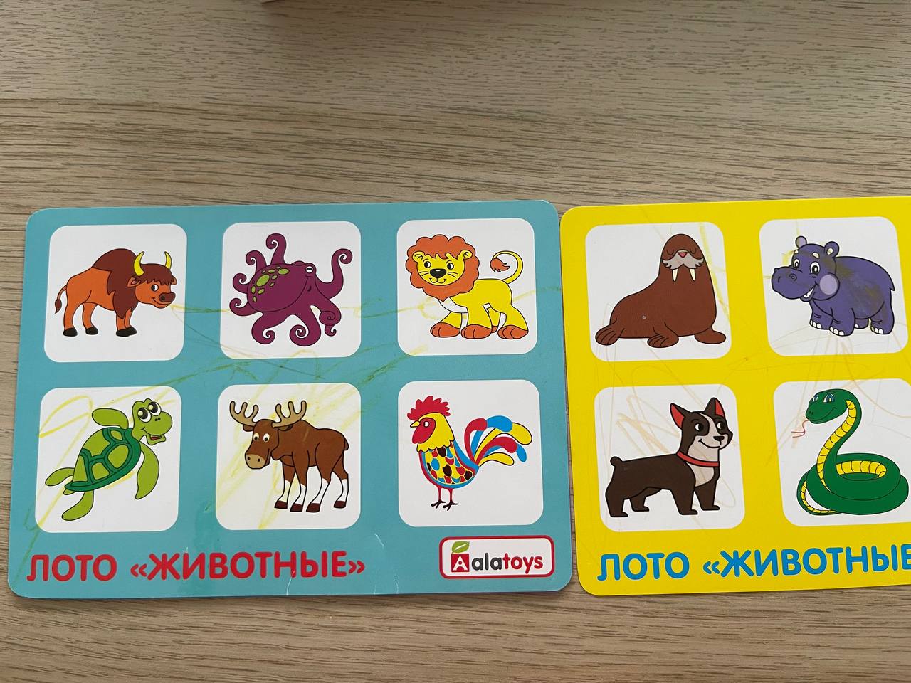 Konstruktor photo 9