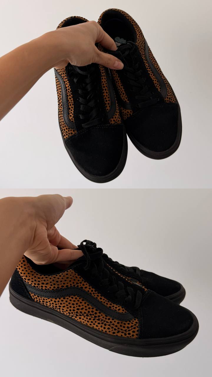 VANS photo 2