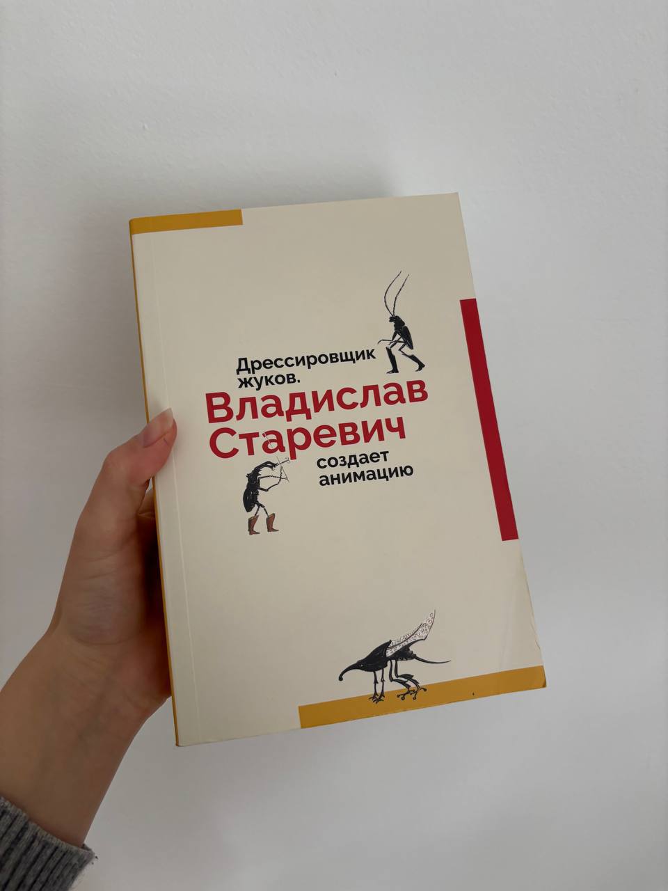 ABC мушка уметничка ресама photo 2
