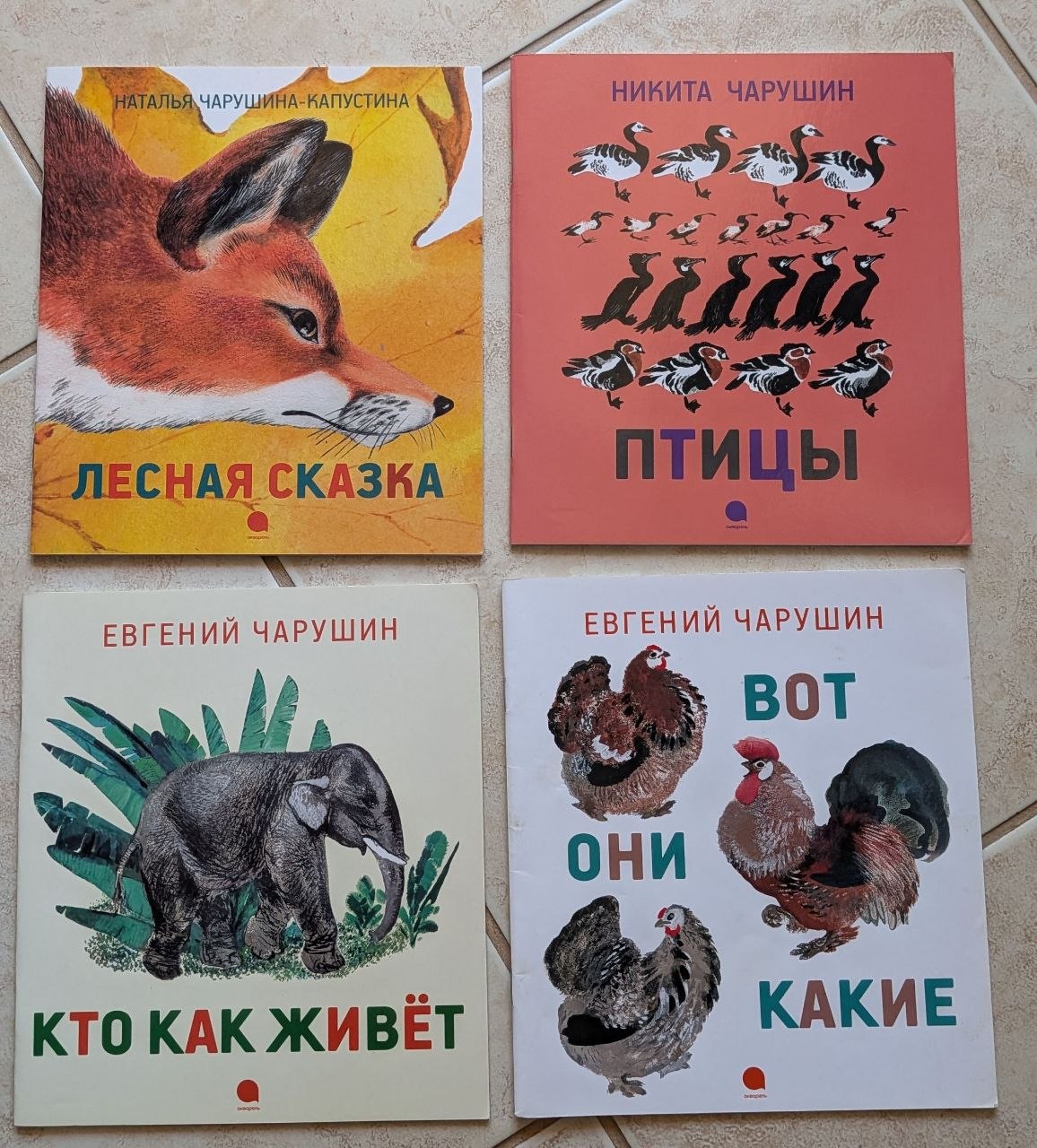 Чарушин photo 4