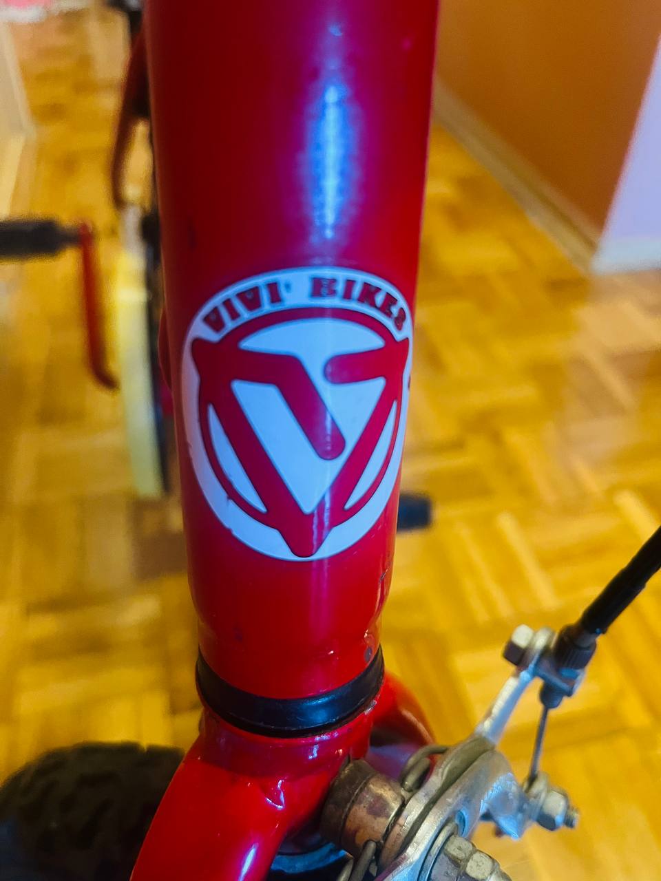 children's bicycle Vivi Bikes Flamingo photo 5