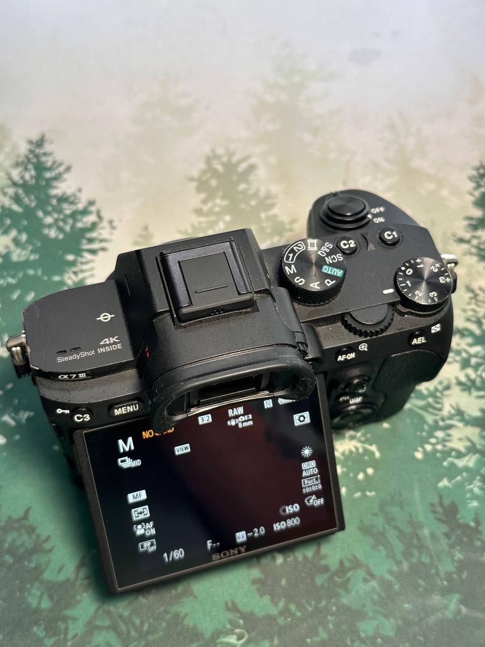 Sony a7 III photo 6