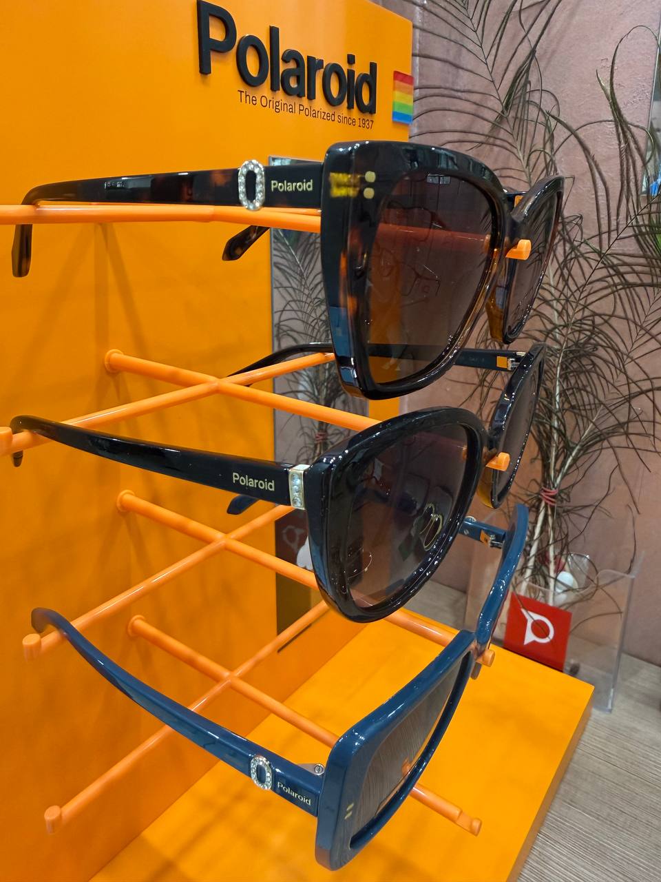Polaroid sunglasses photo 6