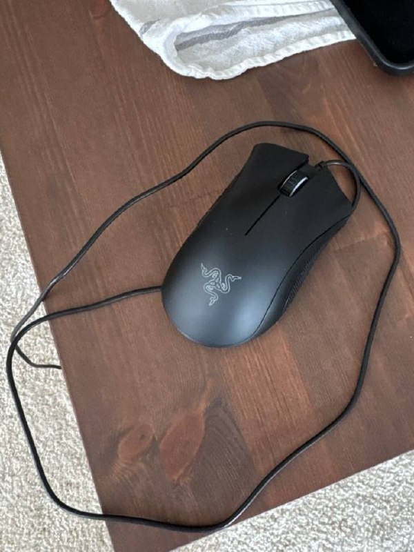 Razer Deathadder Essential mouse