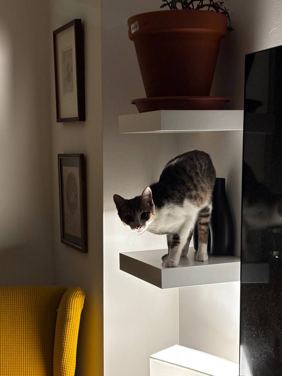 Margot photo 4