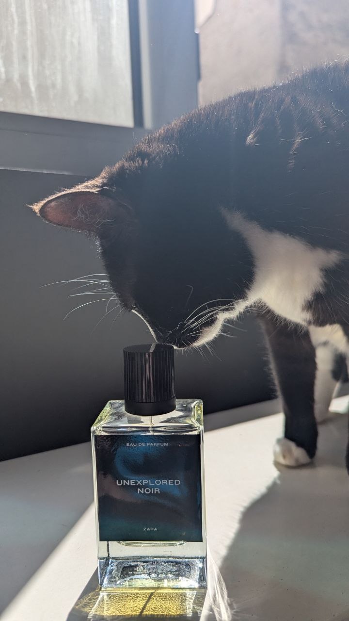 Zara perfume