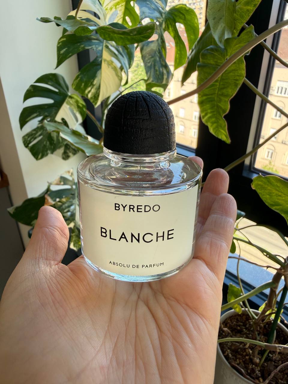 Byredo Blanche Absolu de parfem