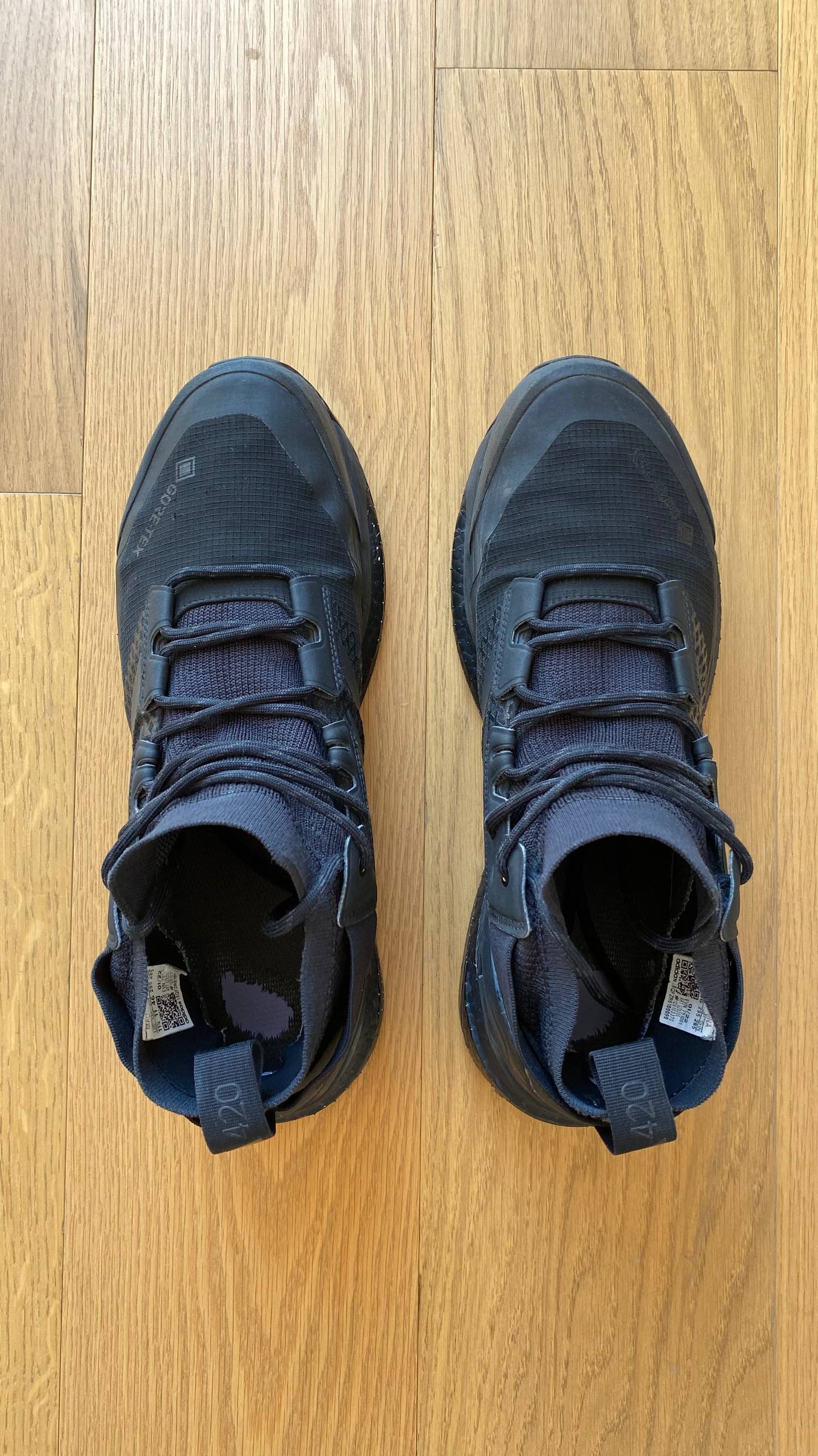 Adidas Terrex Free Hiker GTX photo 3
