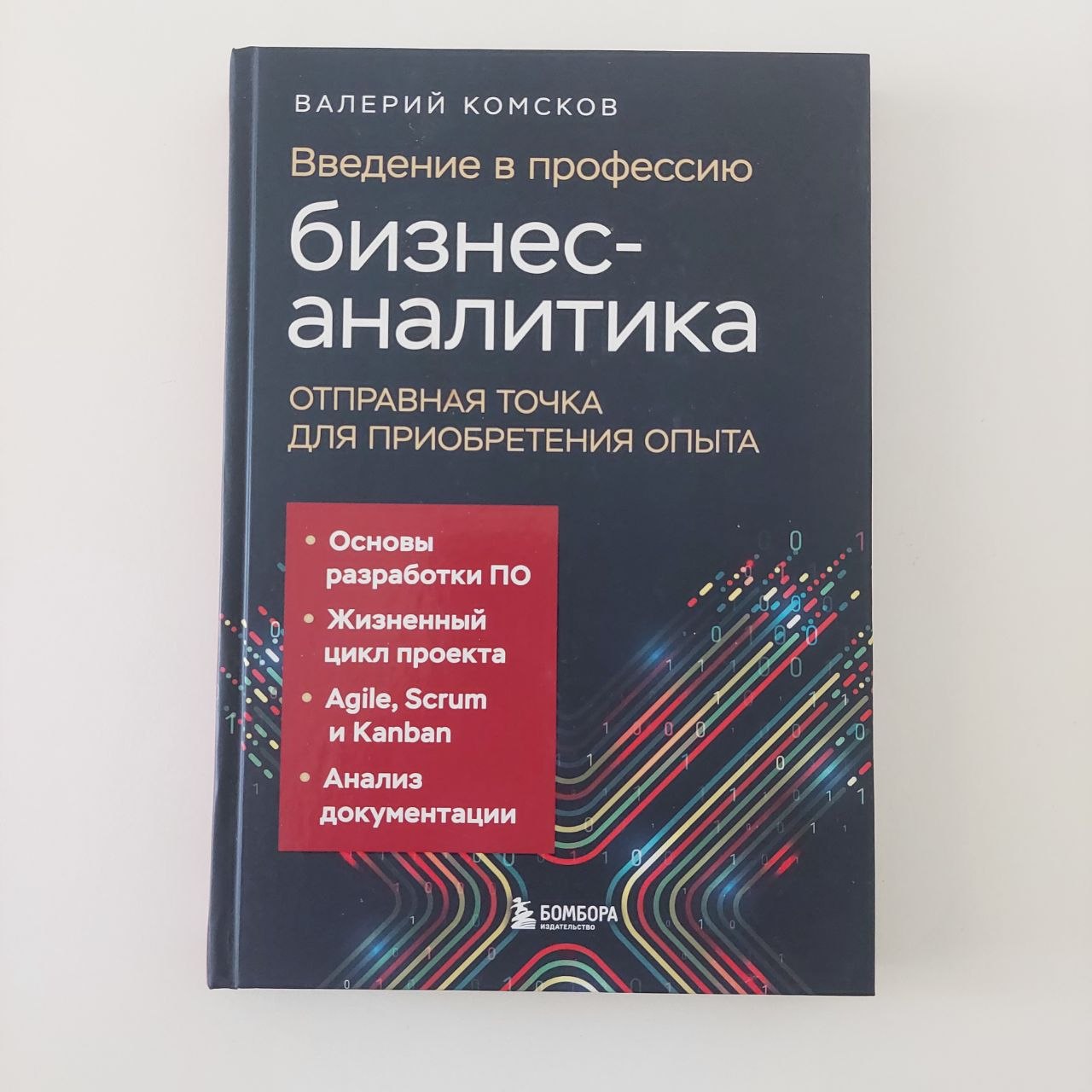 Книга по управлению проектами