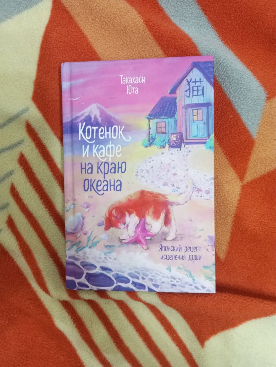 cat kitten and cafe on the edge of the ocean book
