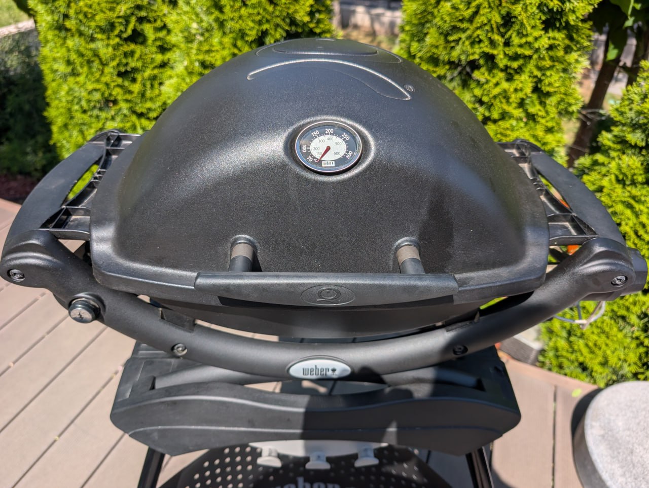 Mobilni gasov gril Weber Q 1200 photo 2