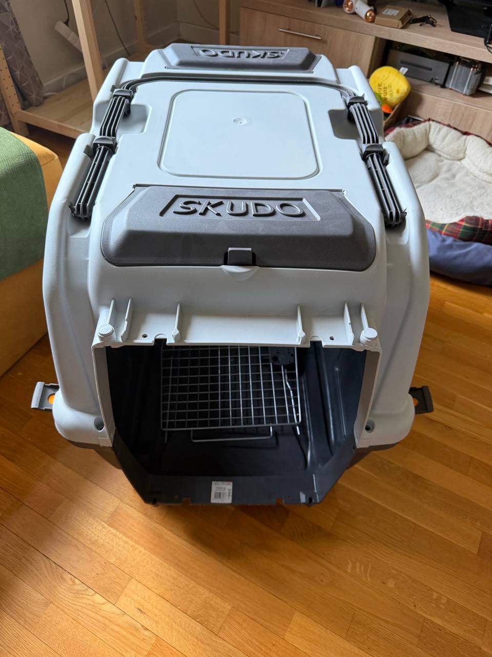 Scudo 5