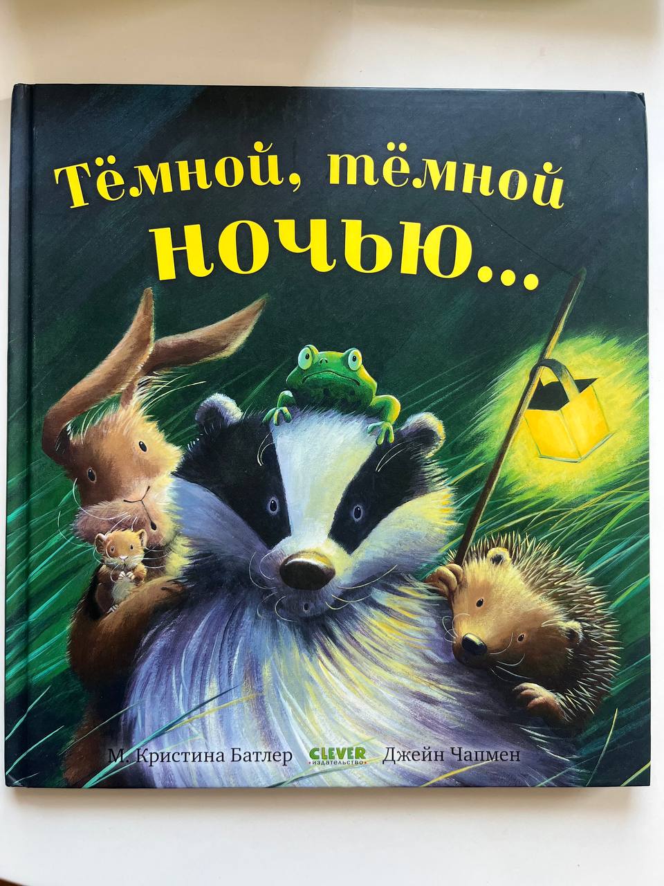 «Тёмной, тёмной ночью…» — М. Кристина Батлер