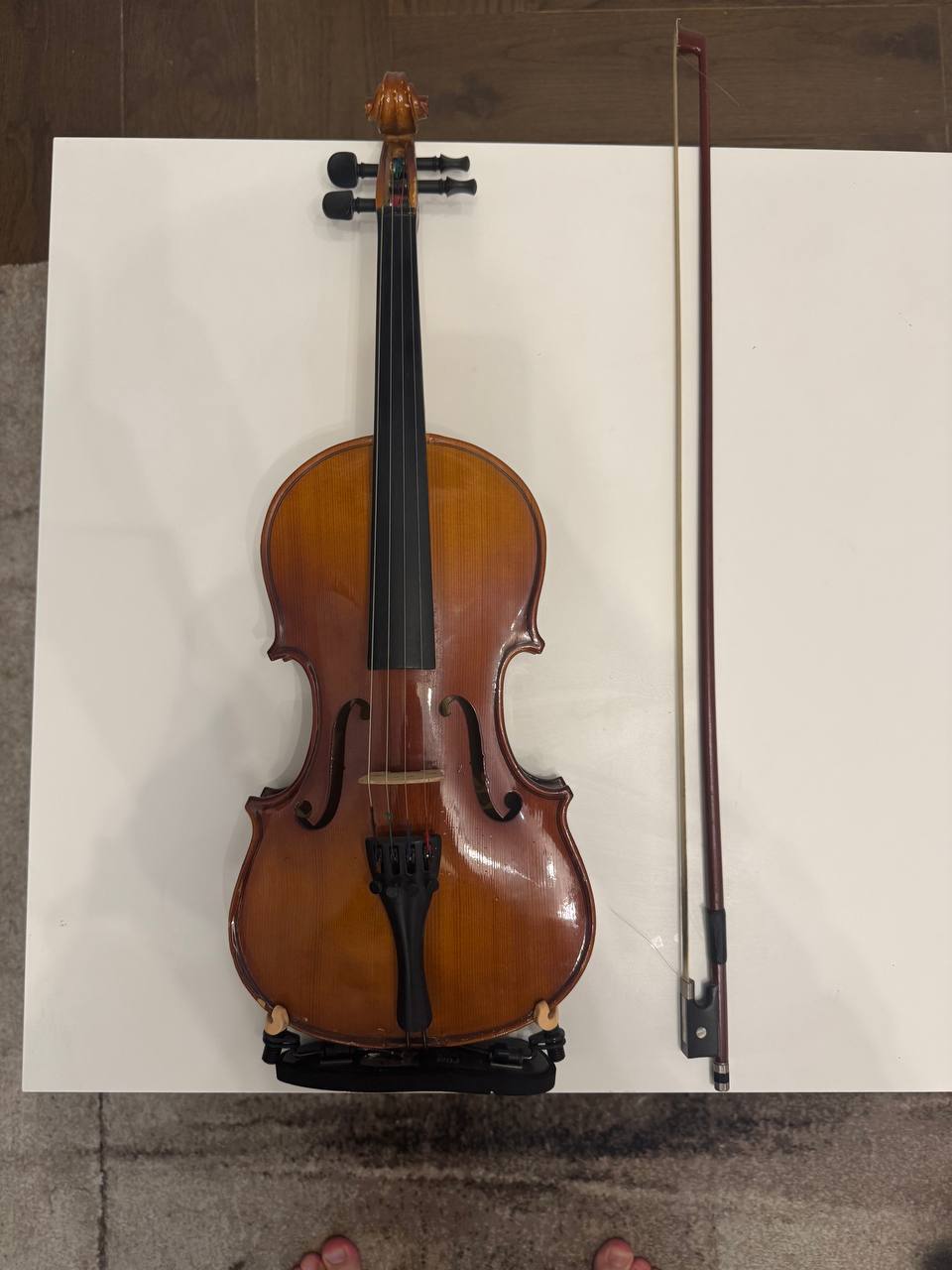 violin