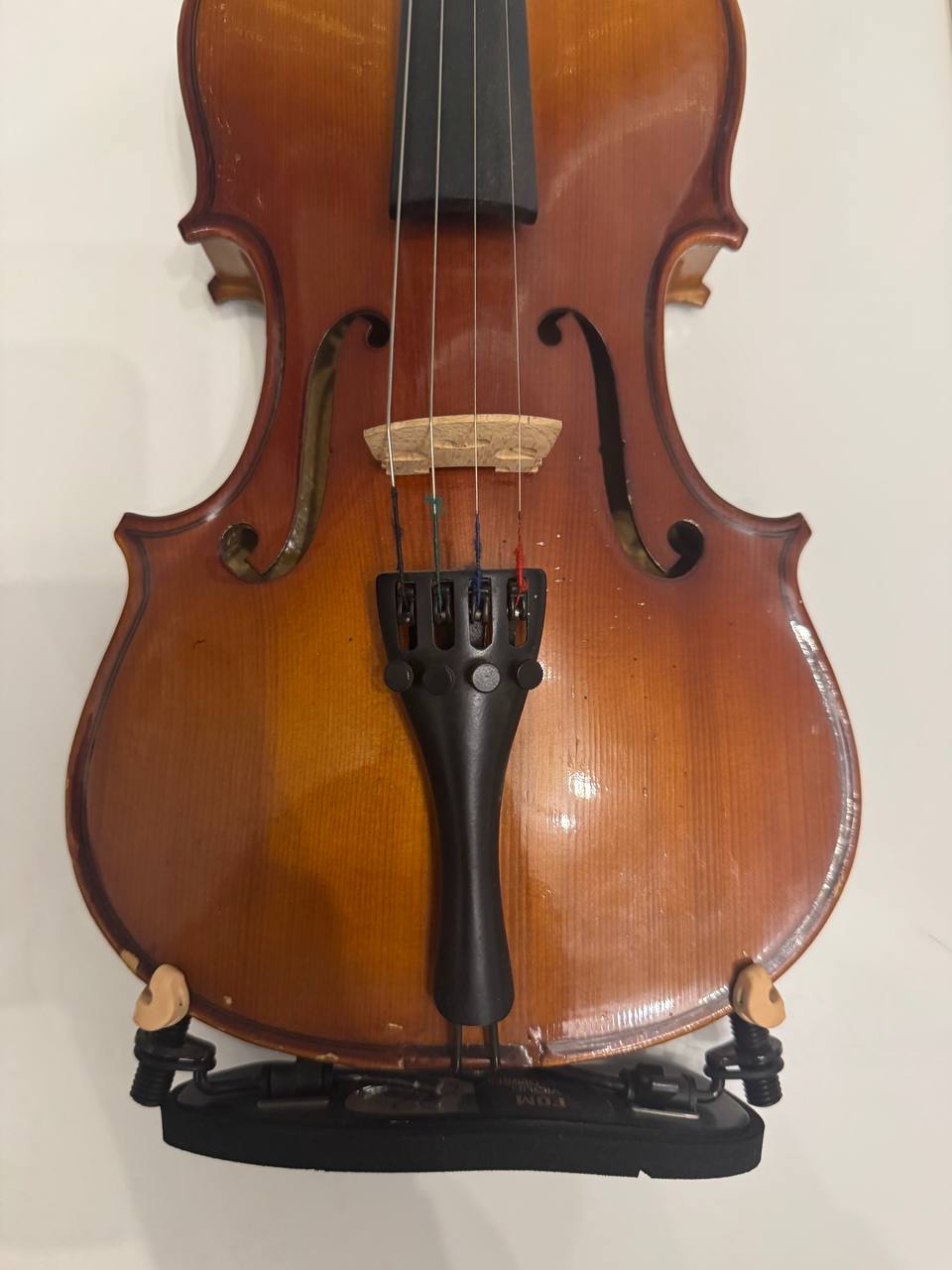 violin photo 3