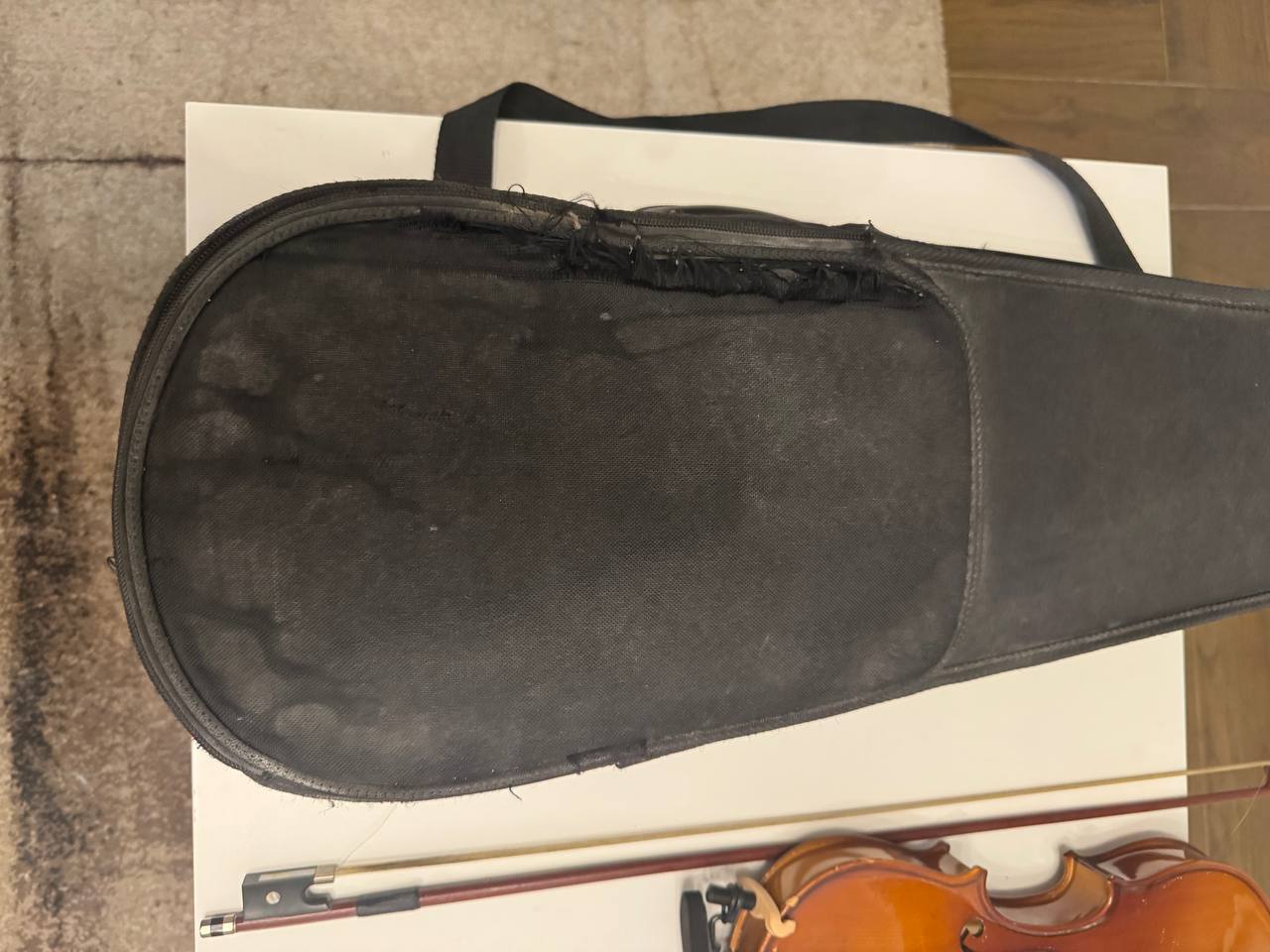 violin photo 5