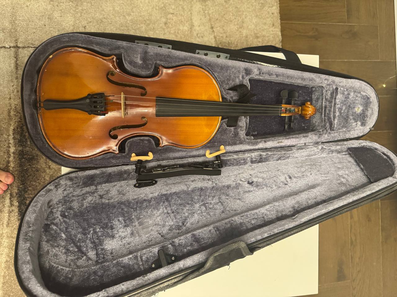 violin photo 6