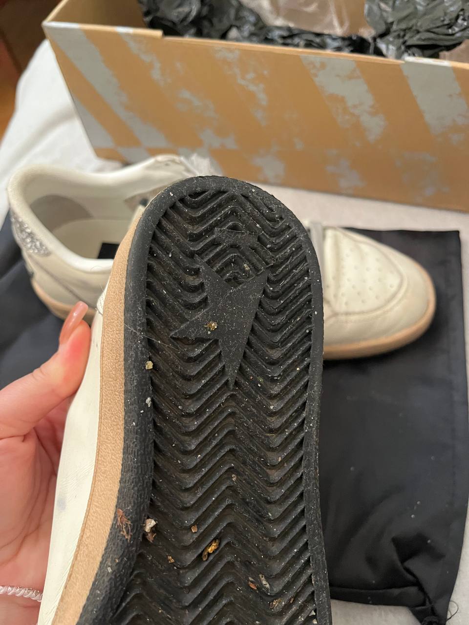 Golden goose photo 4