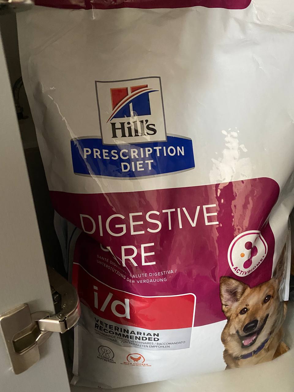 dog food