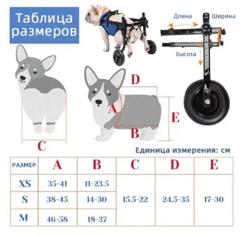 wheelchair for animals photo 3