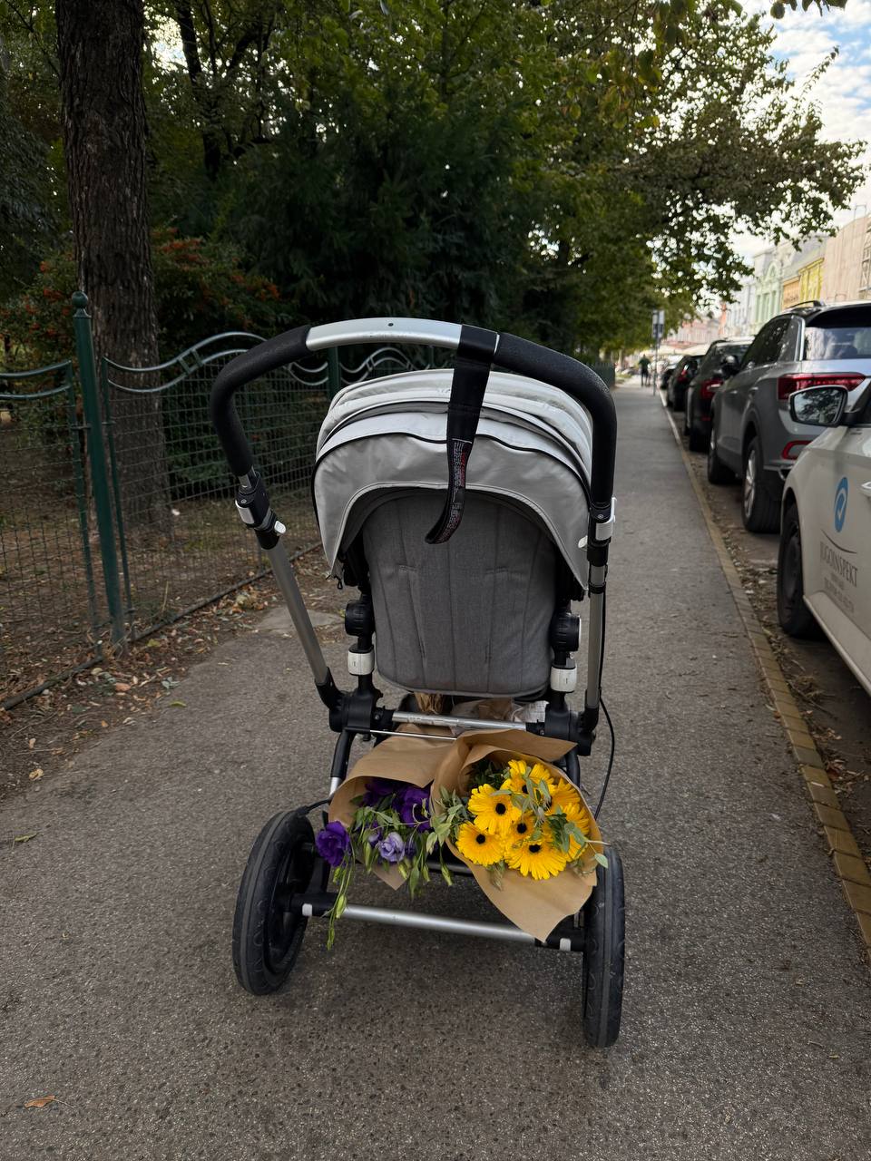 Bugaboo Chameleon 3 Stroller photo 5