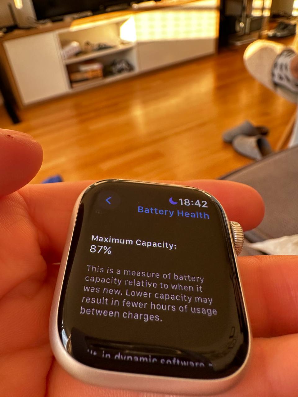 Apple Watch 9 41mm Srebrni photo 3