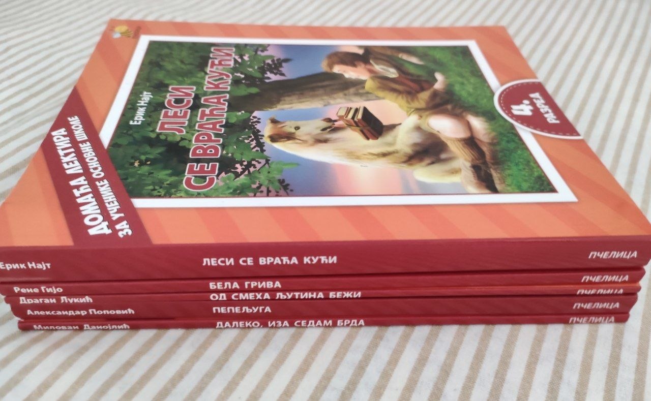 Reading set for 4th grade school photo 2