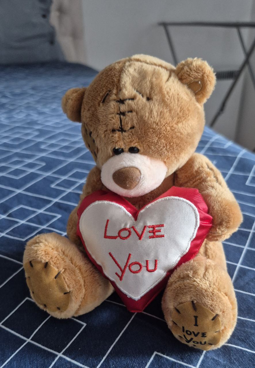 plush teddy bear photo 2