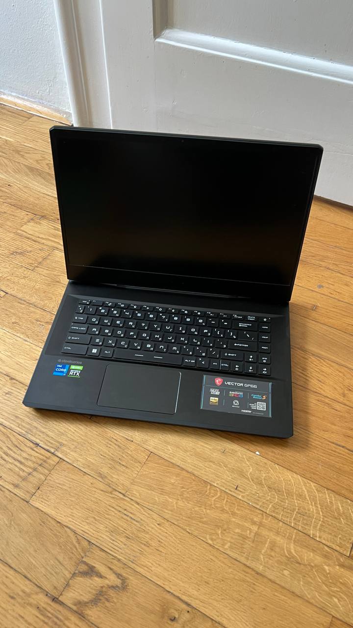 MSI Vector GP66 12UGS