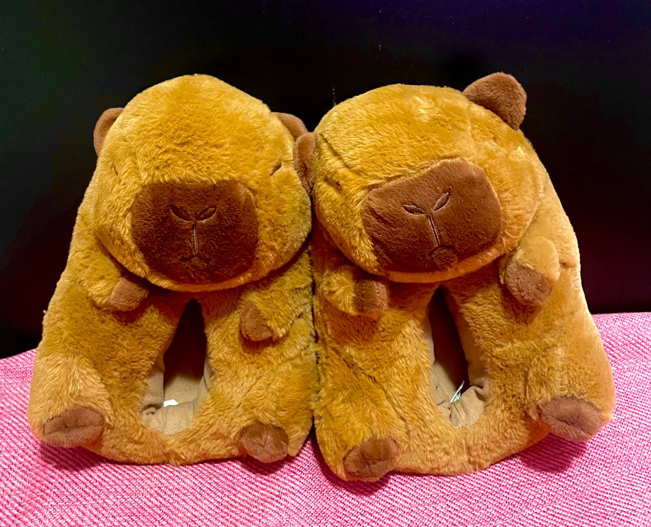 Capybara slippers