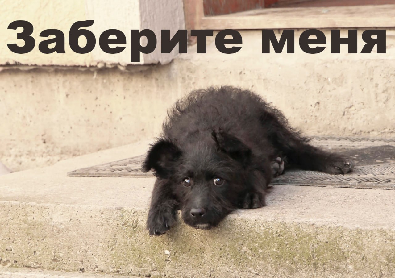 Šaran Gosh photo 4