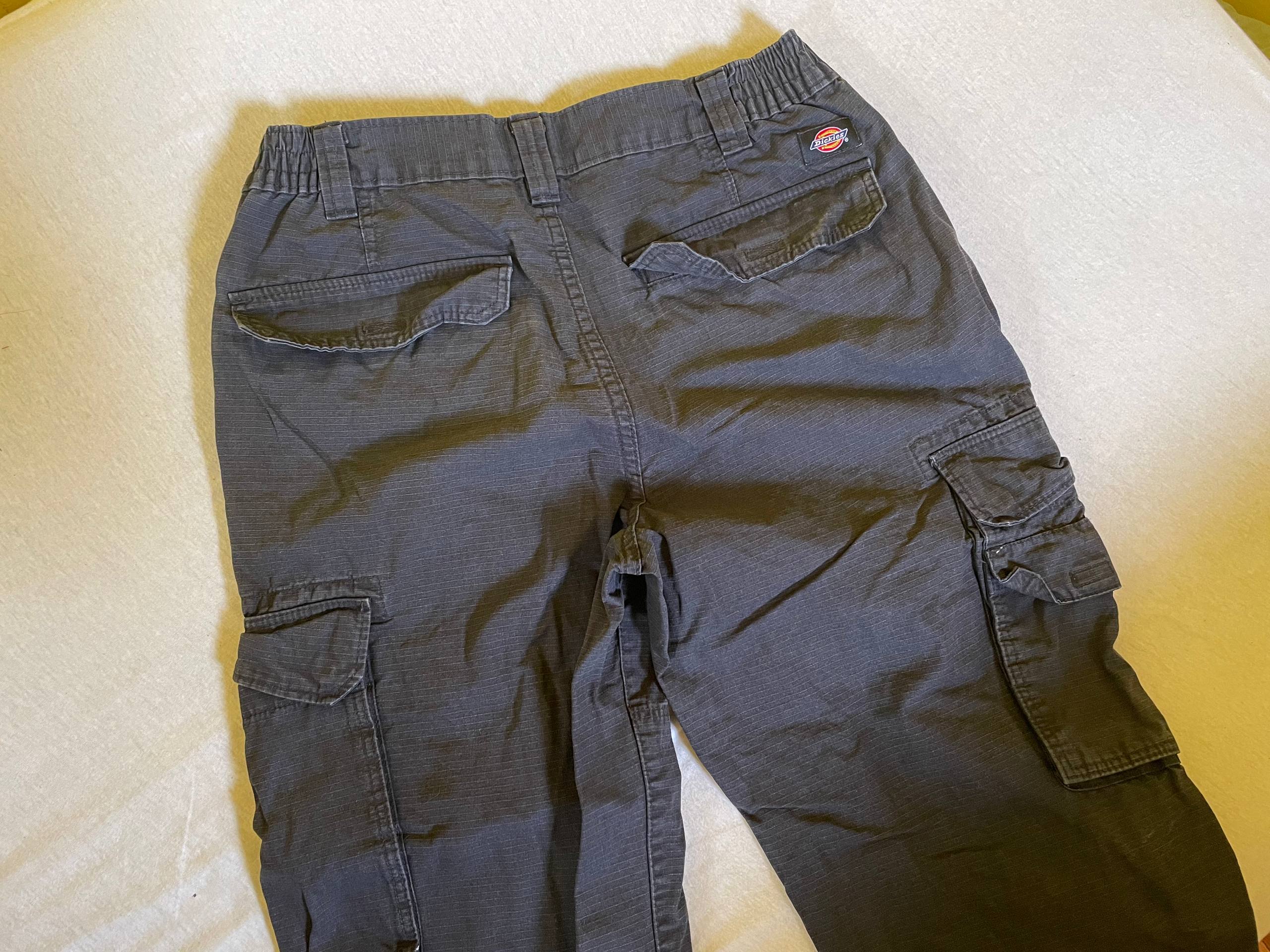 Dickies radni pantalon jogger photo 2
