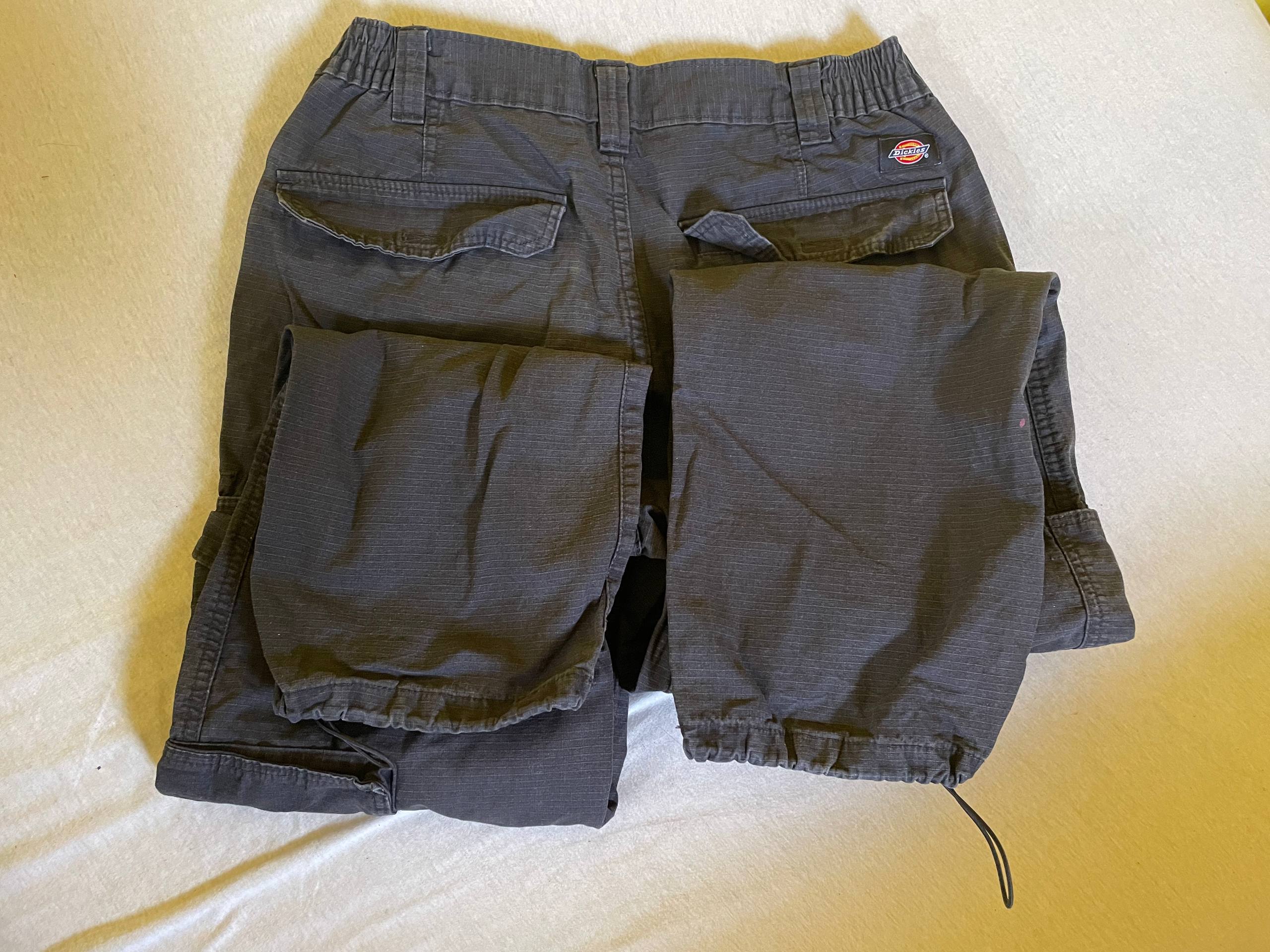 Dickies radni pantalon jogger photo 3