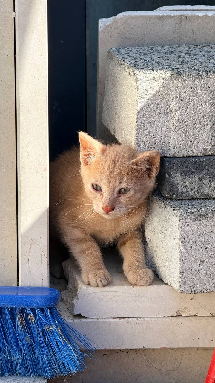 Kćer photo 2