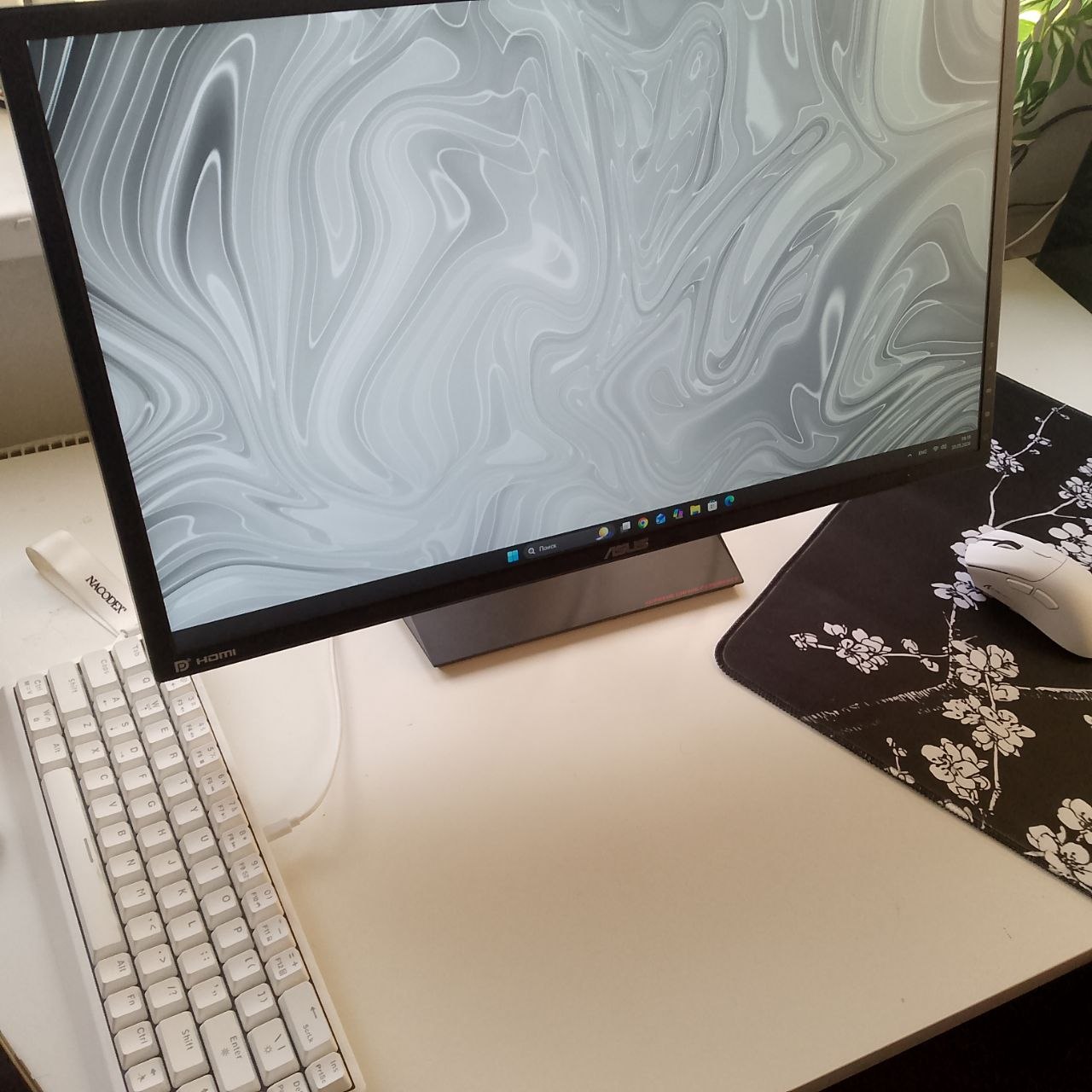 Asus MG248 monitor