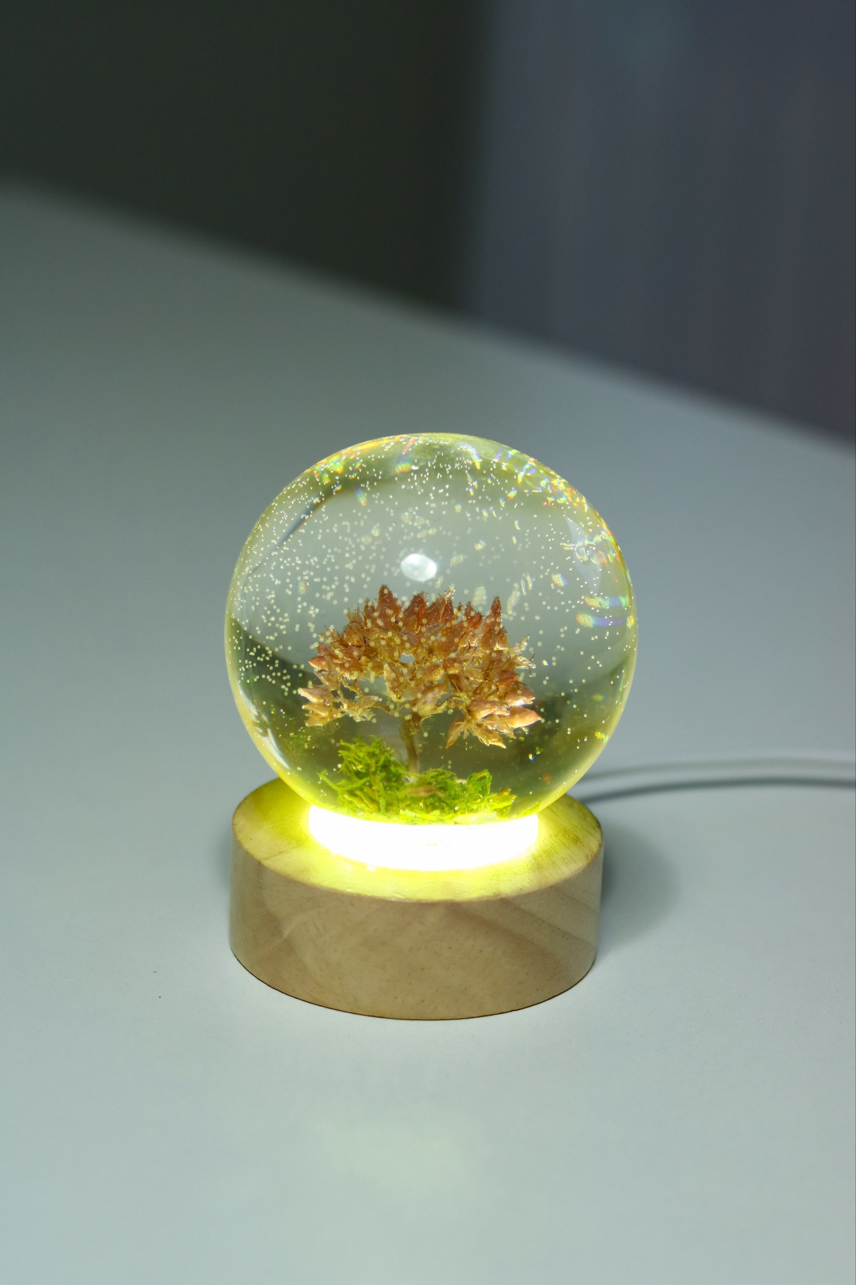 Lampa sa cvetom drveta