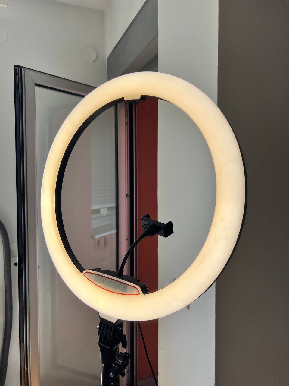 Large ring lamp photo 4