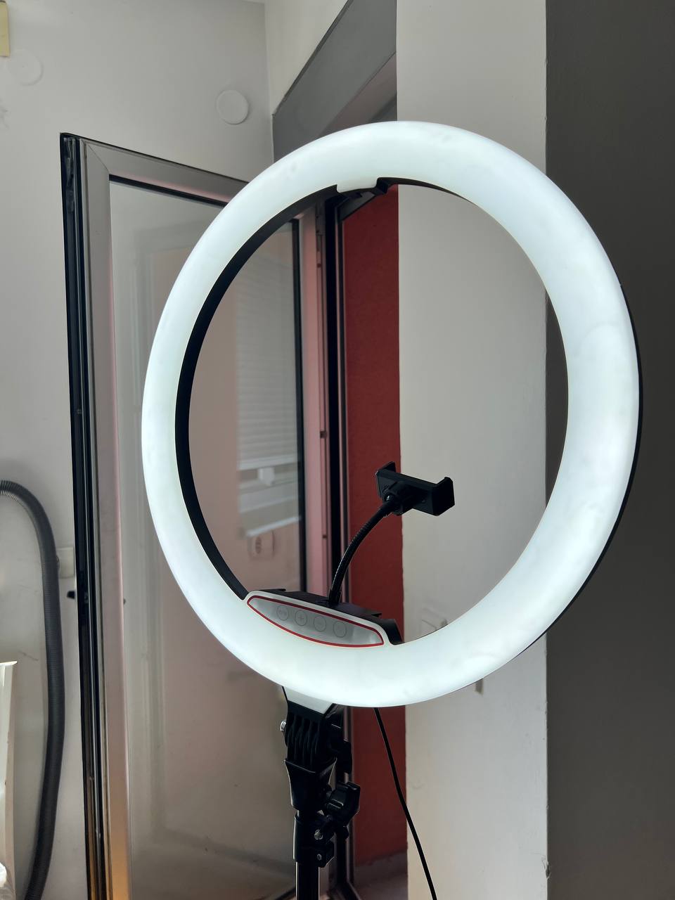 Large ring lamp photo 5