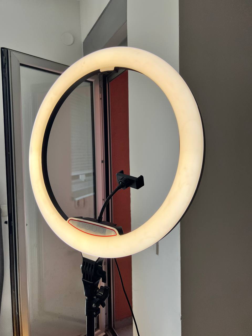 Large ring lamp photo 6