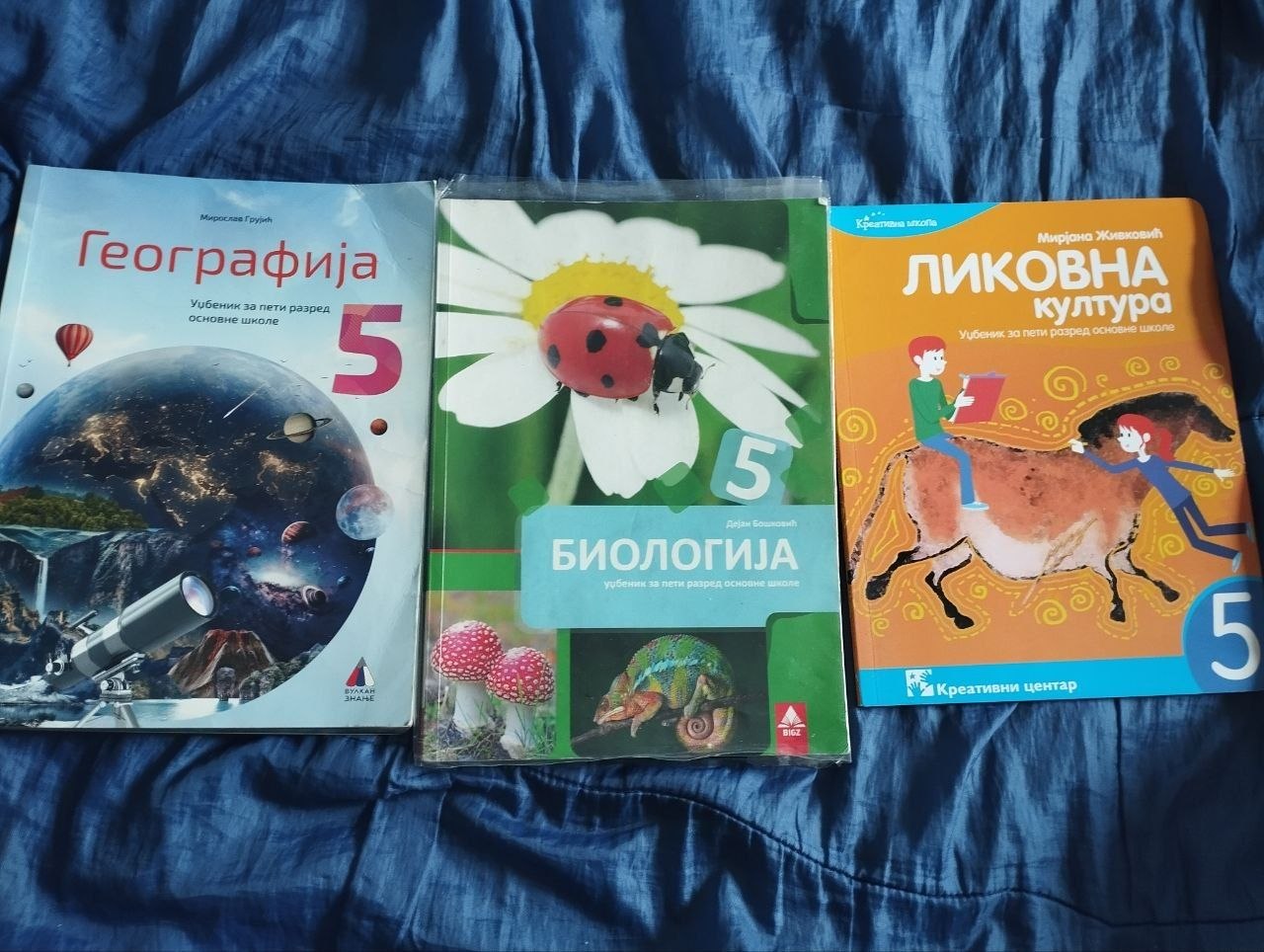 4. разред руске школе стандардног ФГОС photo 2