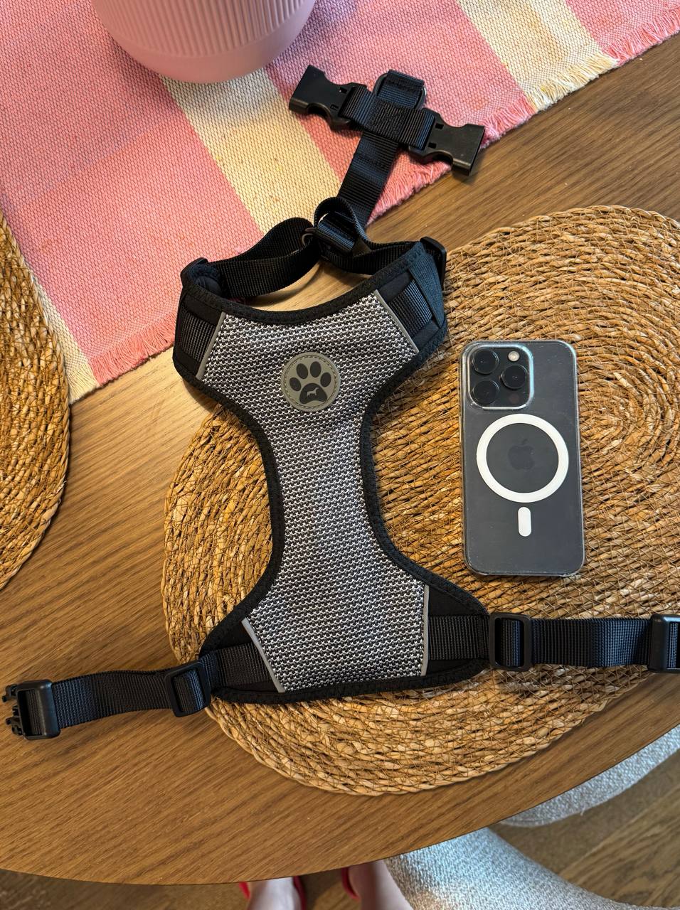 Harness for dog