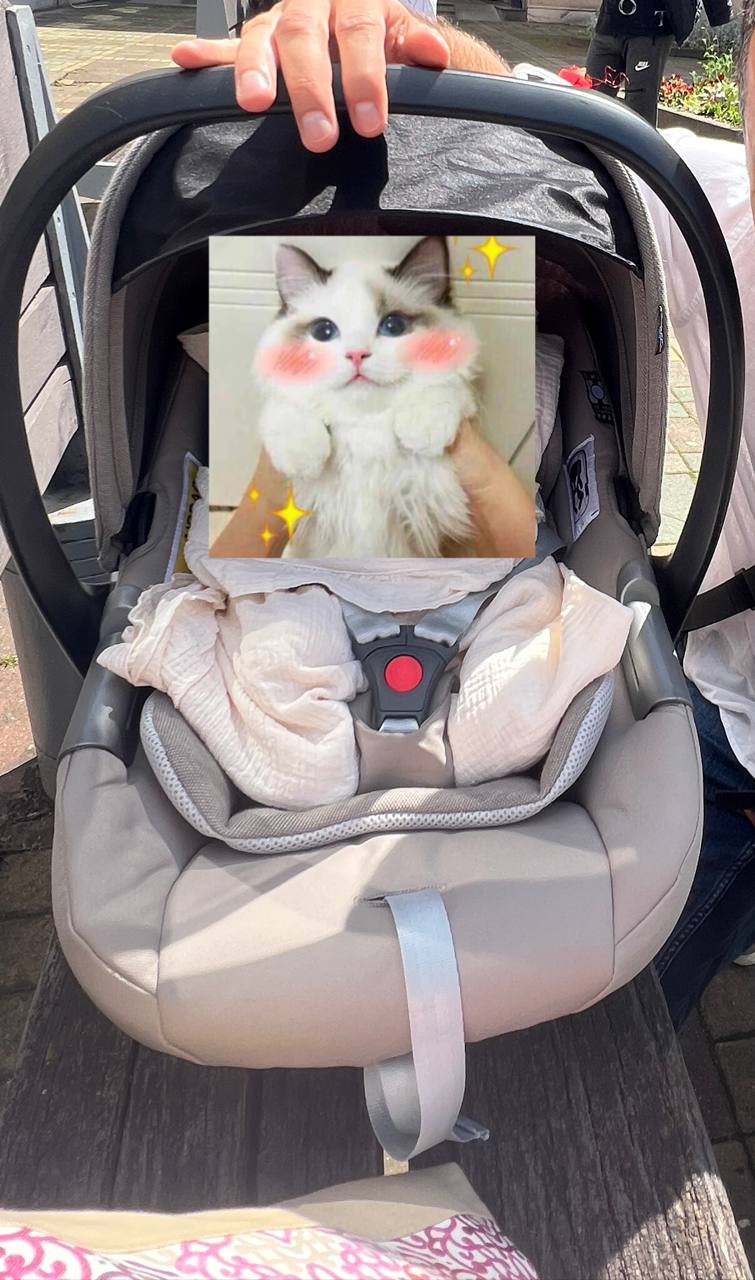 Infant stroller Inglesina