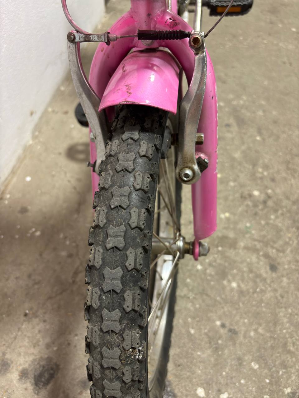 pink Fly Cat Leopard children's bicycle photo 3