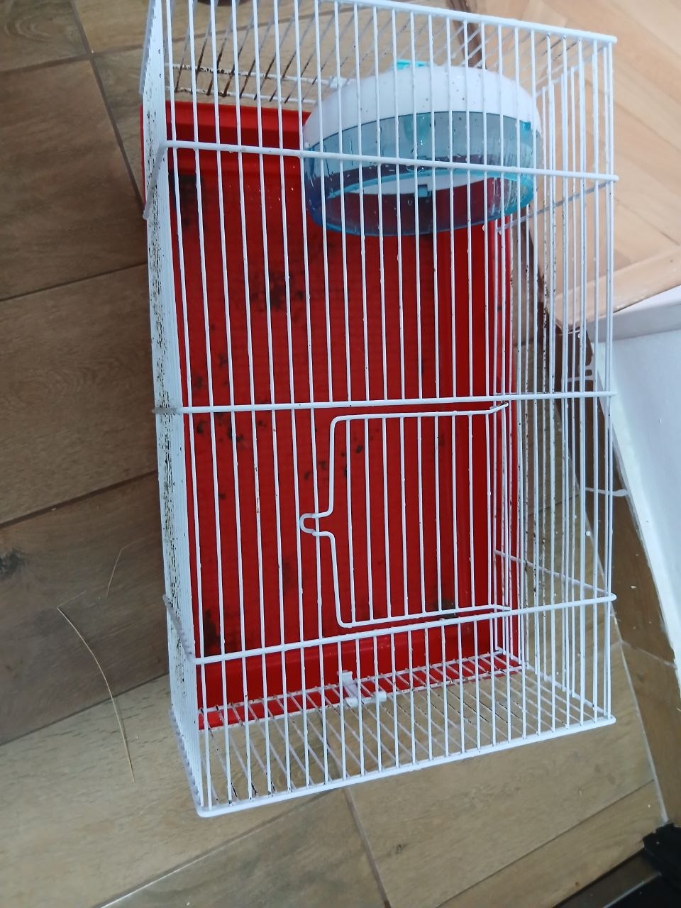 kuka za glodavce