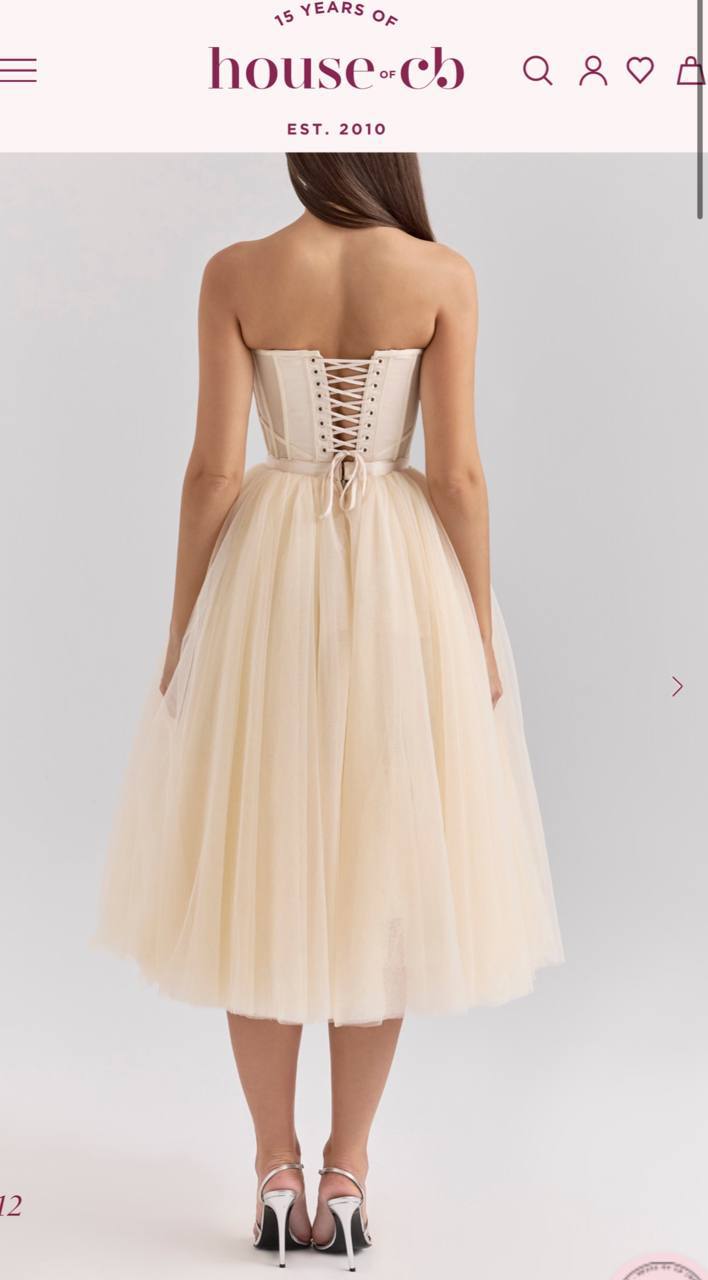 DARLING dress photo 2