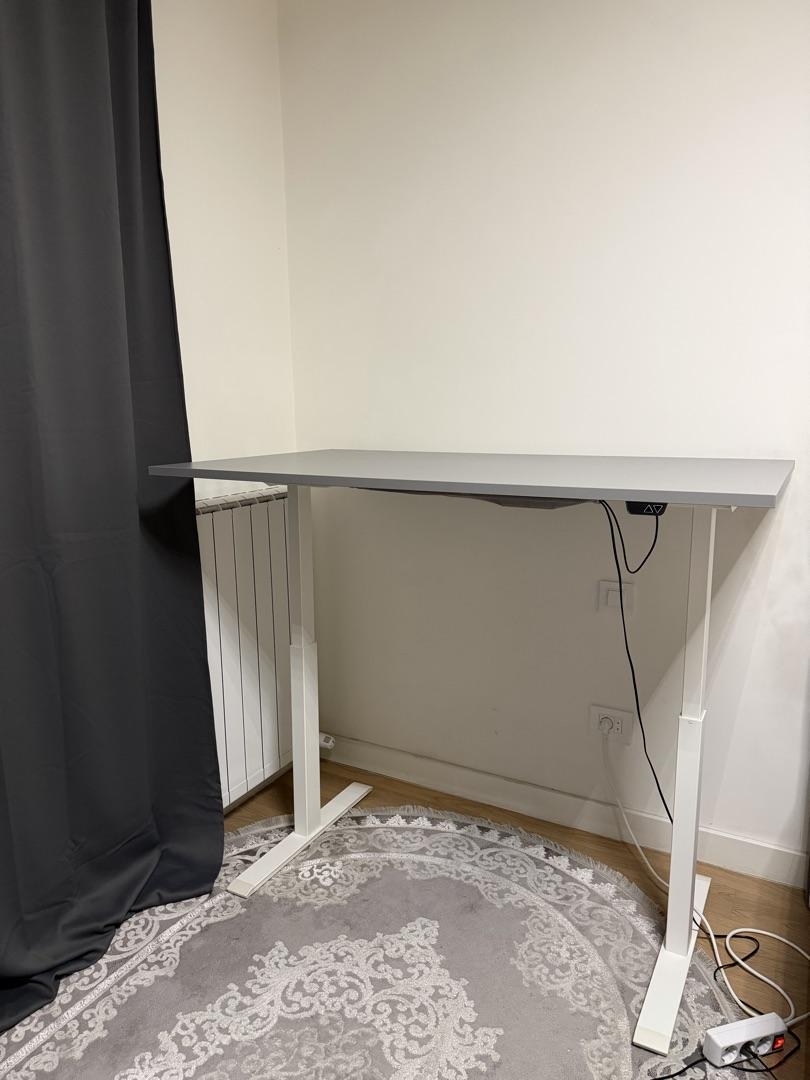 IKEA RODULF — Electric Standing Desk